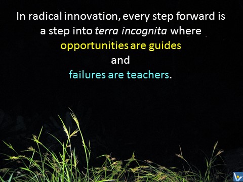 Radical Innovation steps into terra incognita